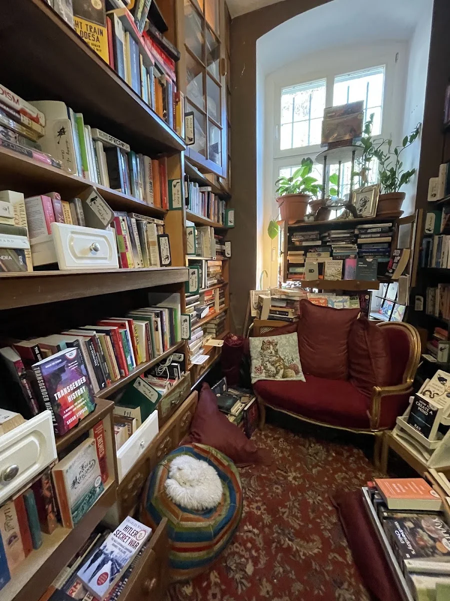 ivallan's Second-Hand & Exceptional Books – Besucherfoto: Silke K in Berlin