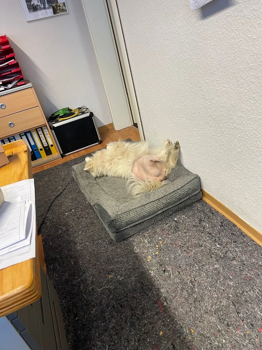 VIVUS- Medizinisches Fachzentrum für Kleintiere – Besucherfoto: Rebecca Lange in Delmenhorst, Niedersachsen