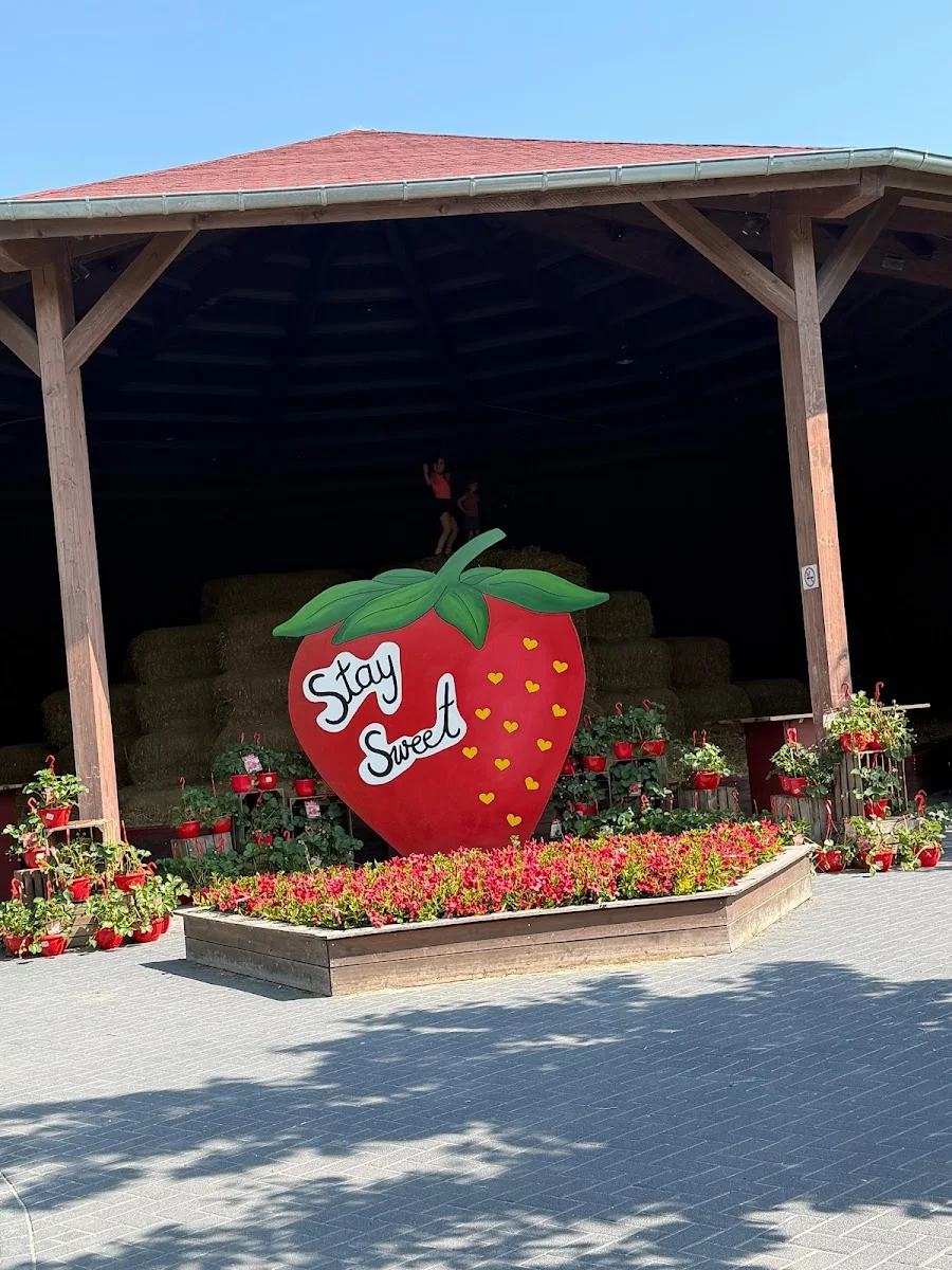 Gertrudenhof Obst- & Gemüsescheune (Bauernmarktgelände) – Profilfoto in Hürth, Nordrhein-Westfalen