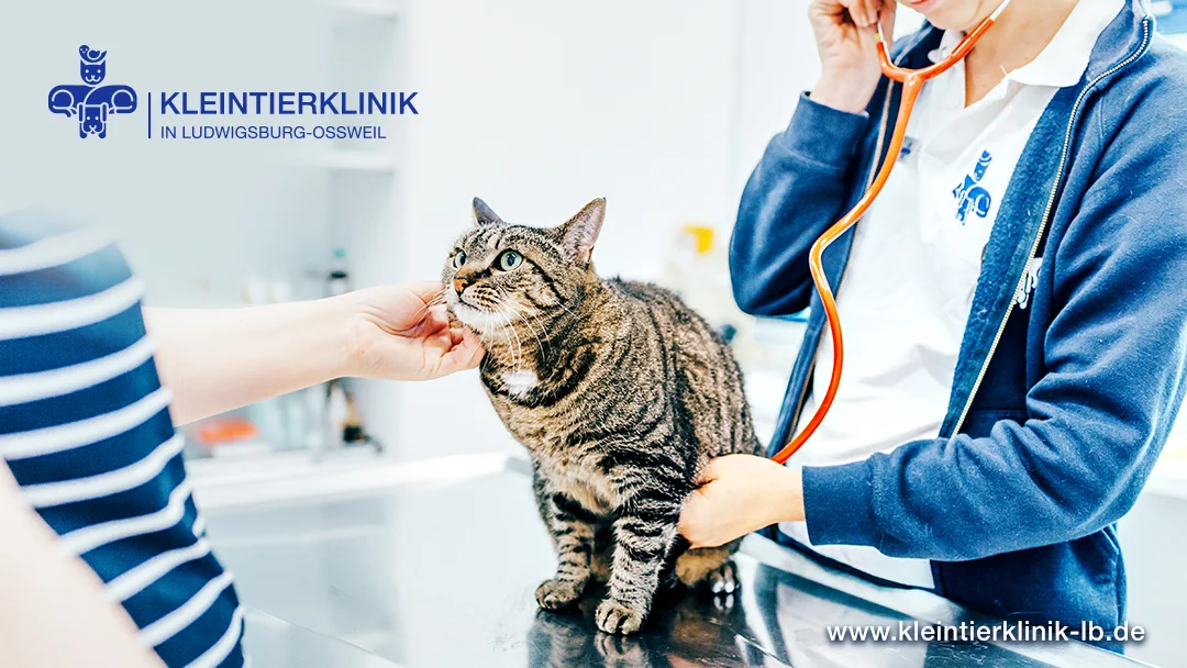 Kleintierklinik in Ludwigsburg-Oßweil – Profilfoto in Ludwigsburg, Baden-Württemberg
