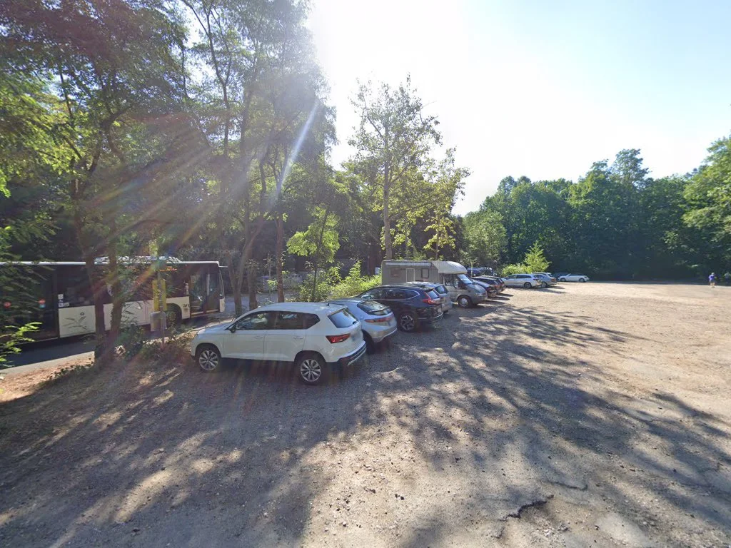 Schwindelfrei - Der Kletterwald – Street View & 360°-Fotos in Brühl, Nordrhein-Westfalen