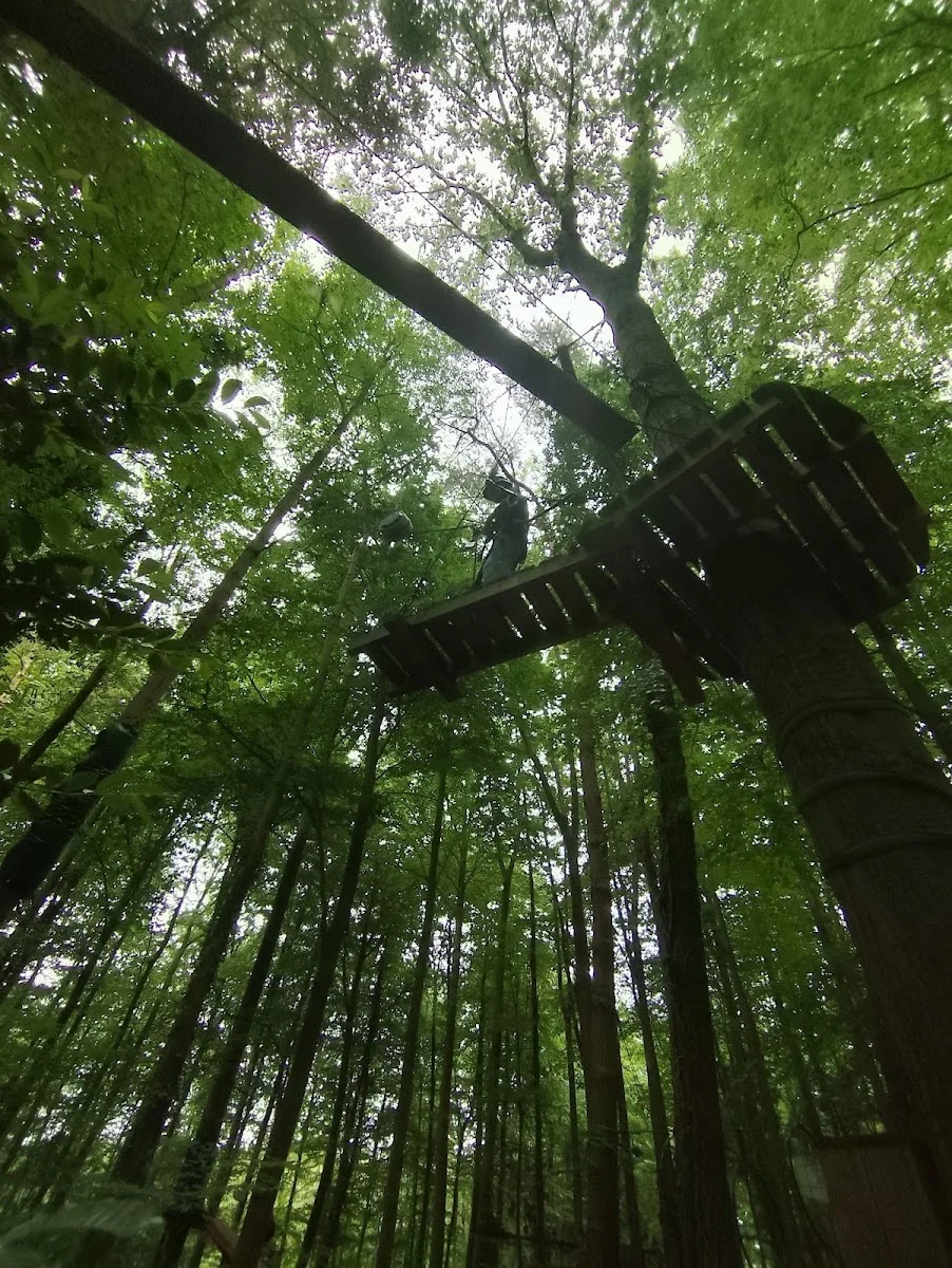 Schwindelfrei - Der Kletterwald – Besucherfoto von Łukasz klusek in Brühl, Nordrhein-Westfalen