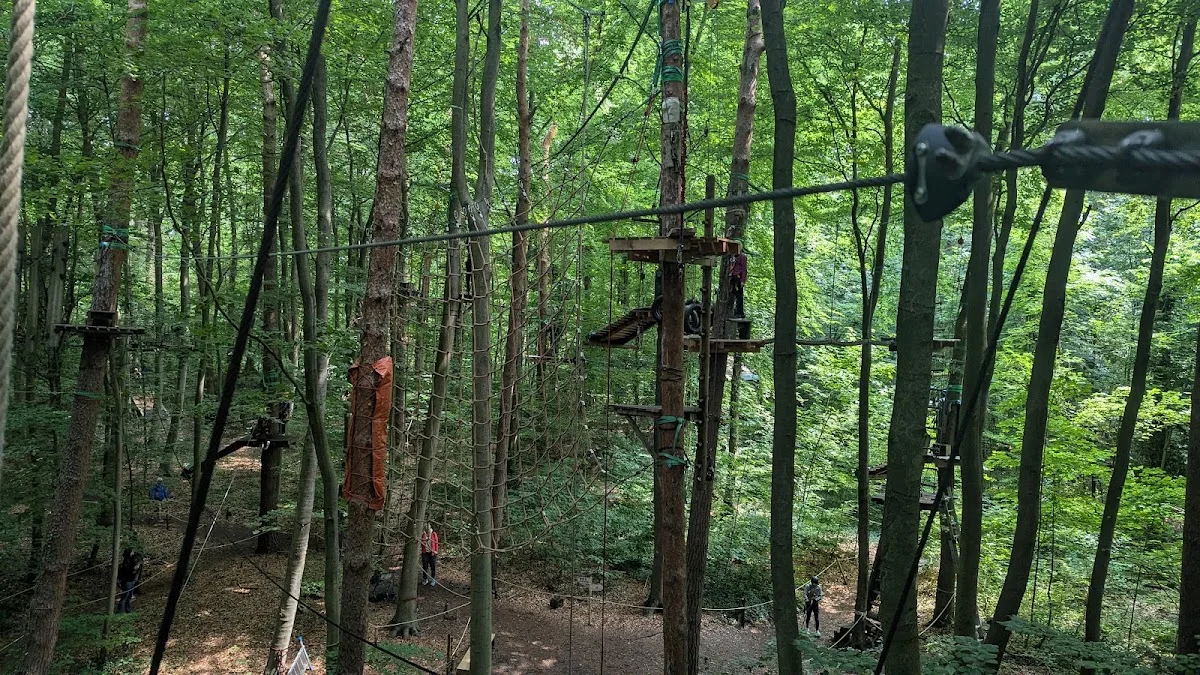 Schwindelfrei - Der Kletterwald – Besucherfoto von Martin Schneider in Brühl, Nordrhein-Westfalen