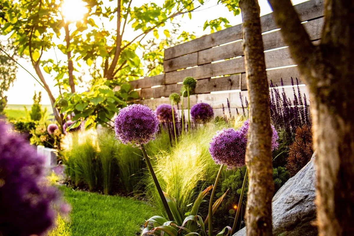 Odenwäller Garten- und Landschaftsbau GmbH – Profilfoto in Bruchköbel, Hessen