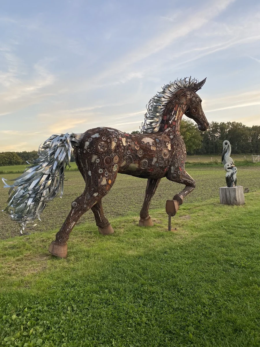 Shona-Art – Profilfoto in Witten, Nordrhein-Westfalen