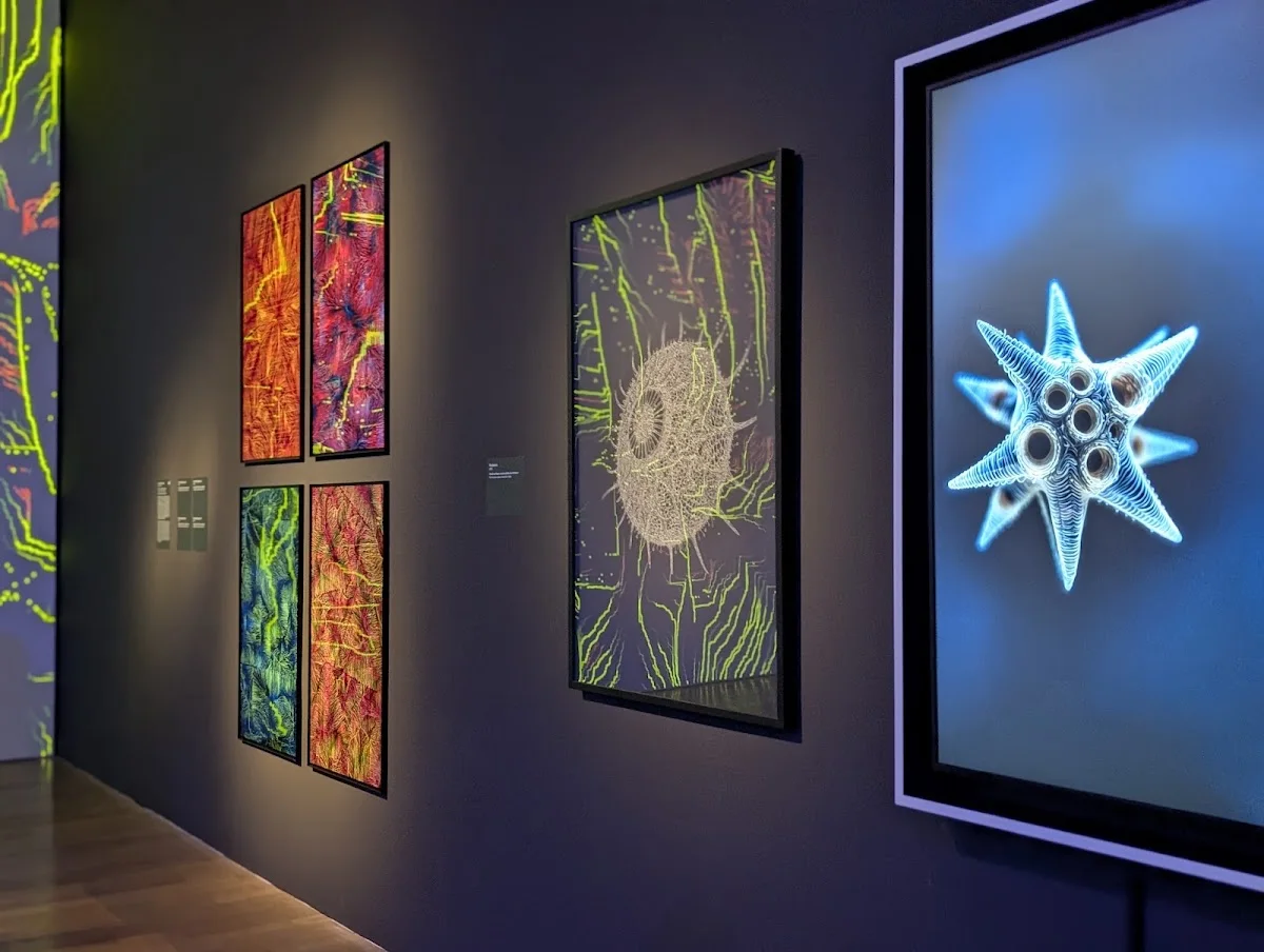 Kunsthalle München – Besucherfoto von Linda in München, Bayern