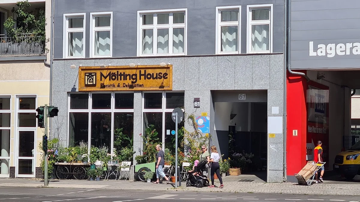 Molting House - Blumen & Dekoration – Profilfoto in Berlin
