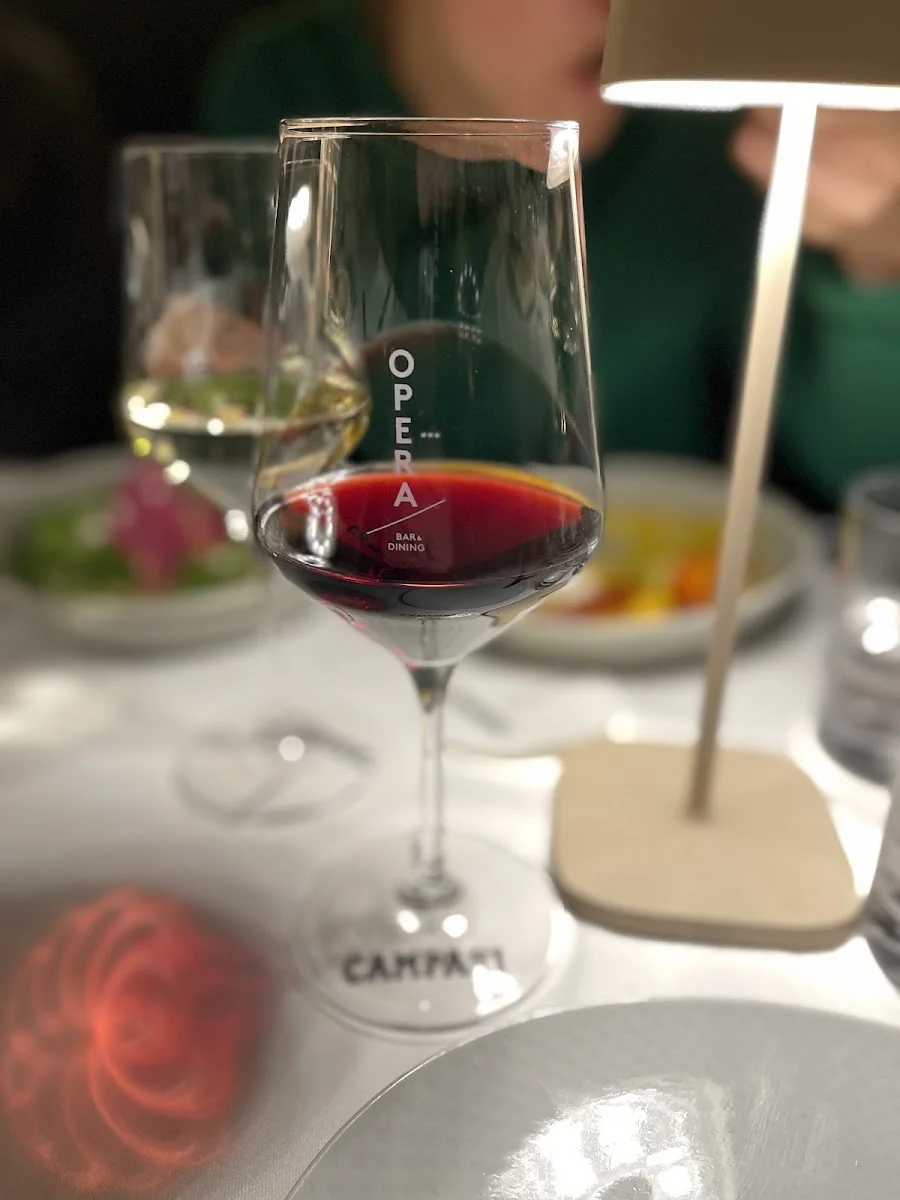 OPERA – Wein in Dresden, Sachsen