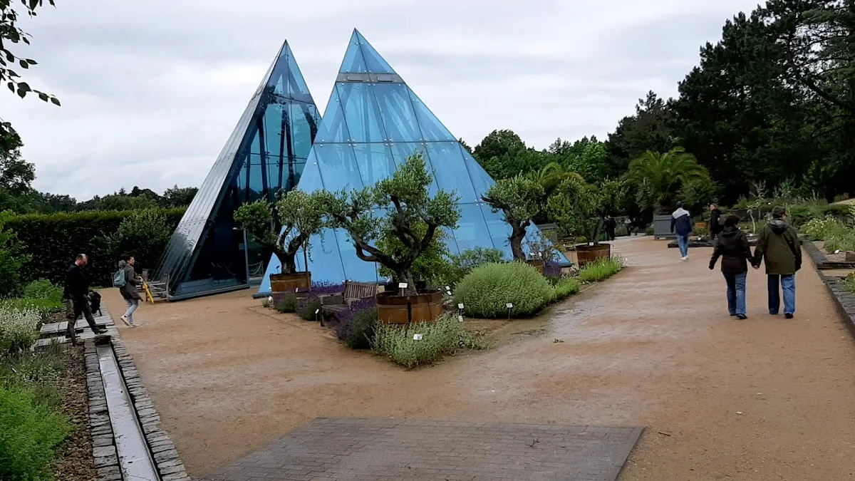 Botanischer Garten der Universität Hamburg - Loki-Schmidt-Garten – Bedecktsamer in Hamburg