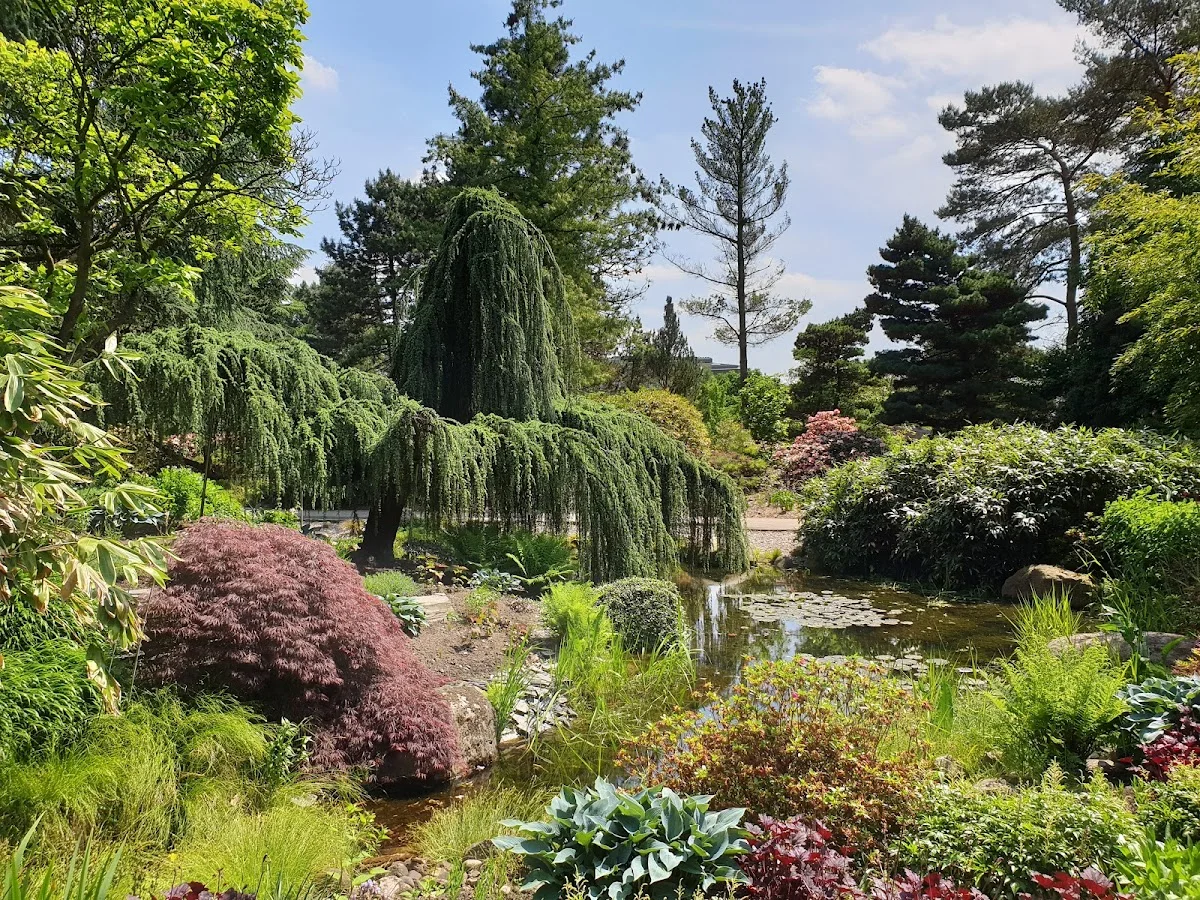 Botanischer Garten der Universität Hamburg - Loki-Schmidt-Garten – Bauern-Garten in Hamburg