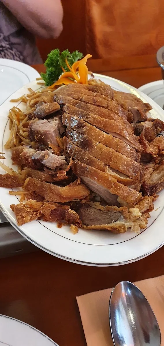 Hong Shun – Pekingente in Falkensee, Brandenburg