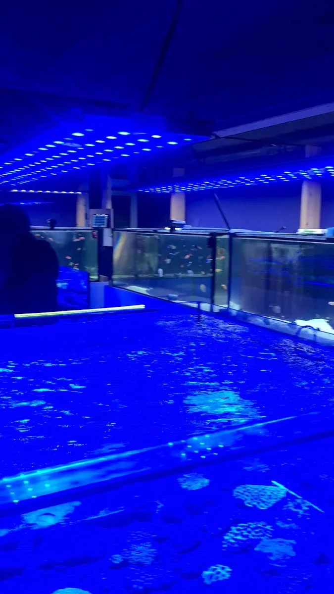 Meerwasser Boettcher – Aquariumgeschäft in Bergheim, Nordrhein-Westfalen