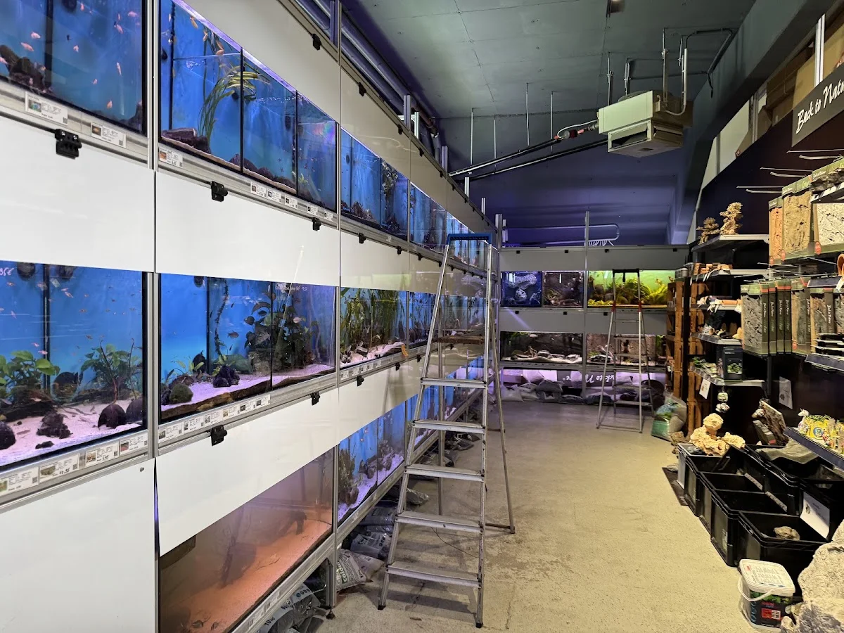 Aquaristik Center Ost GmbH, München – Aquarium in Haar, Bayern