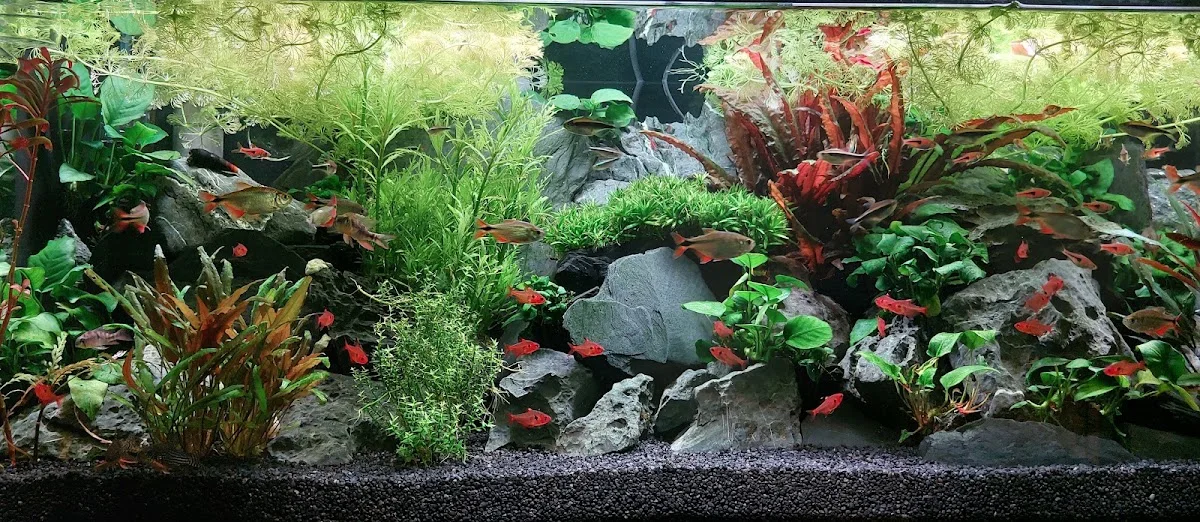 Aquaristik Center Ost GmbH, München – Besucherfoto von Robert Privat in Haar, Bayern