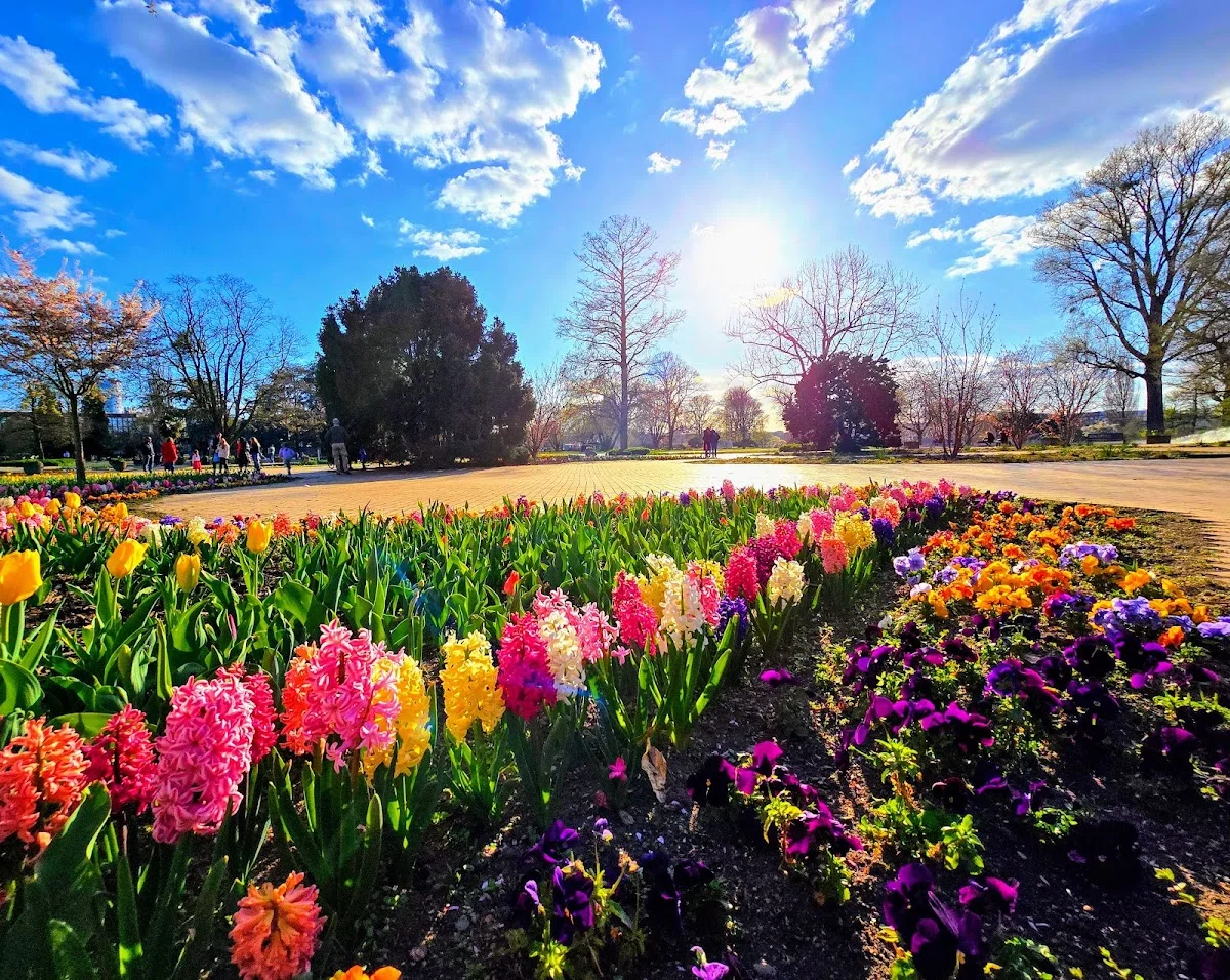 Rheinpark – Blumenhof im in Köln, Nordrhein-Westfalen