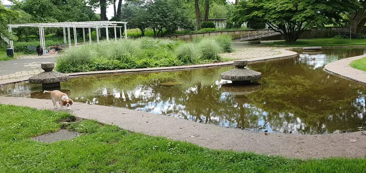 Rheinpark – Rosengarten in Köln, Nordrhein-Westfalen