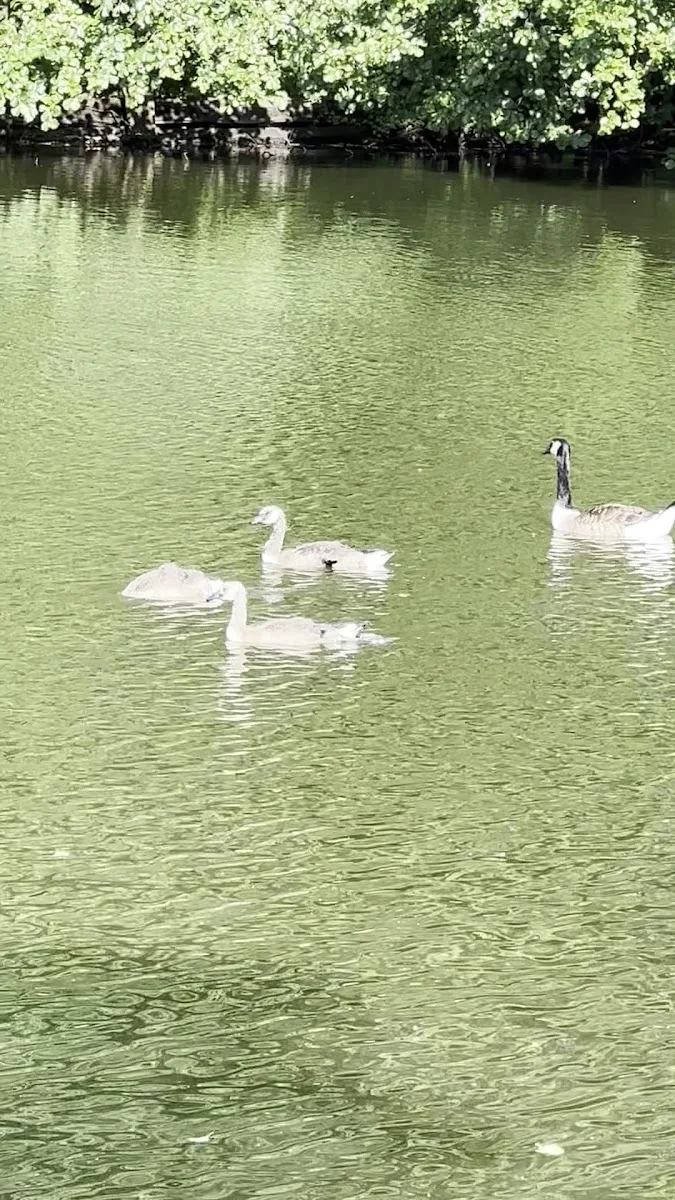 Revierpark Vonderort – Park in Oberhausen, Nordrhein-Westfalen