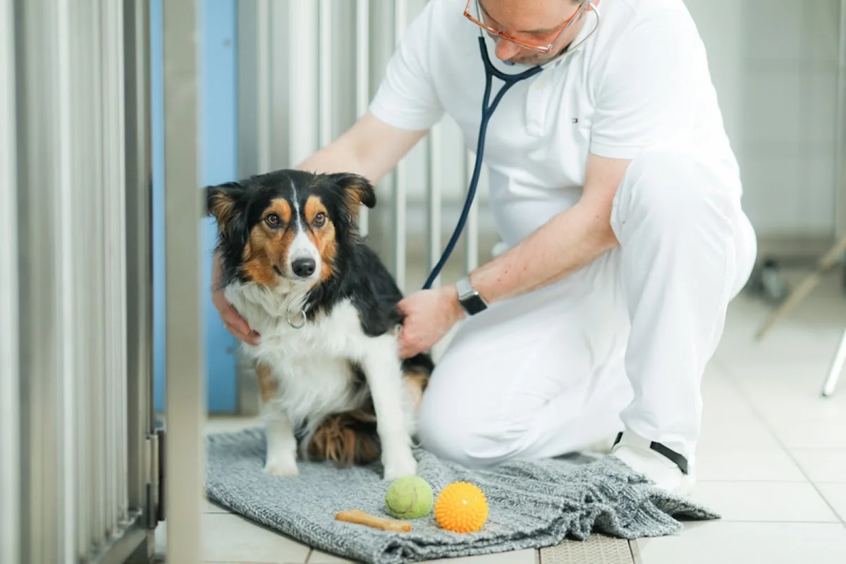 Tierklinik Ismaning – Profilfoto in Ismaning, Bayern