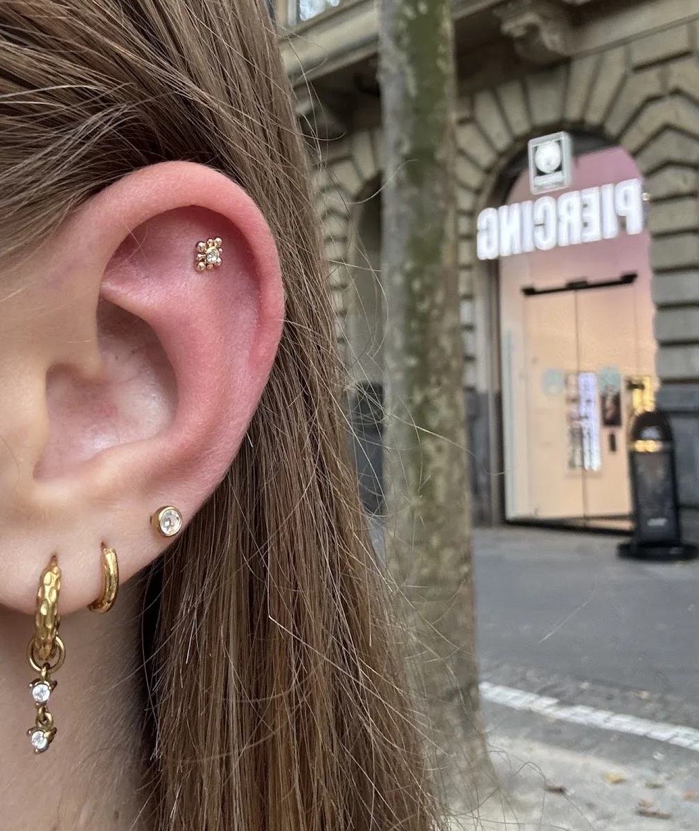 Wildcat Store Köln – Tattoo- und Piercingstudio in Köln, Nordrhein-Westfalen