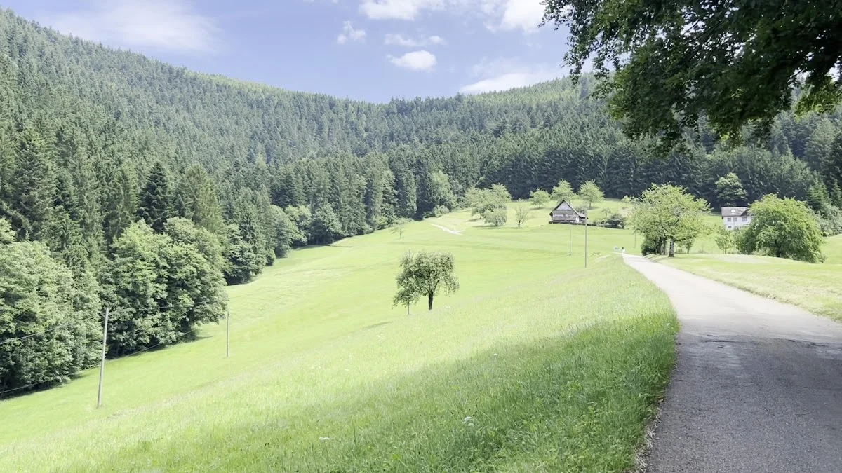 Europäisches Art of Living Zentrum - Yoga, Meditation Retreat Zentrum im Schwarzwald – Vereinigung / Organisation in Oppenau, Baden-Württemberg