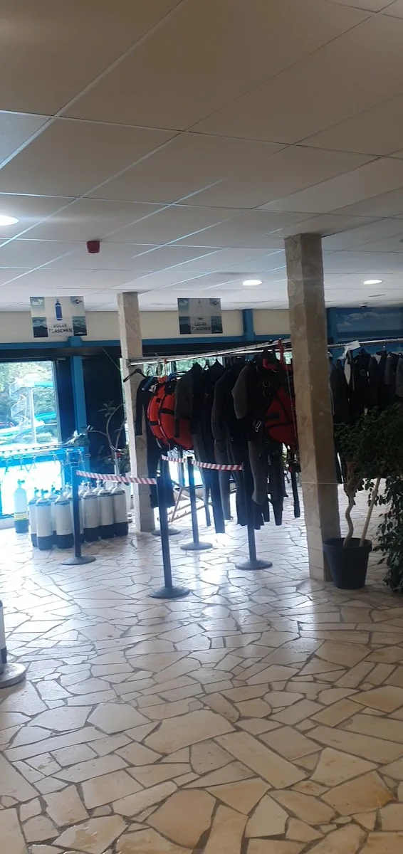 Freizeit- & Gesundheitsbad Oktopus – Freibad in Siegburg, Nordrhein-Westfalen