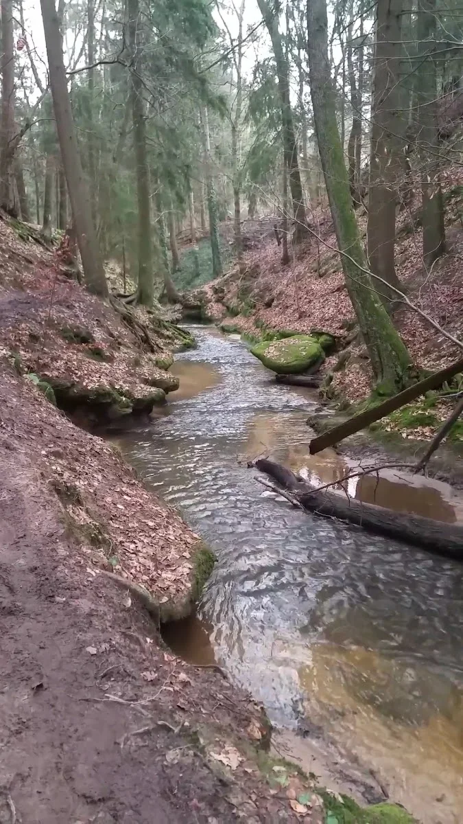 Bitterbachschlucht – Wandergebiet in Lauf an der Pegnitz, Bayern