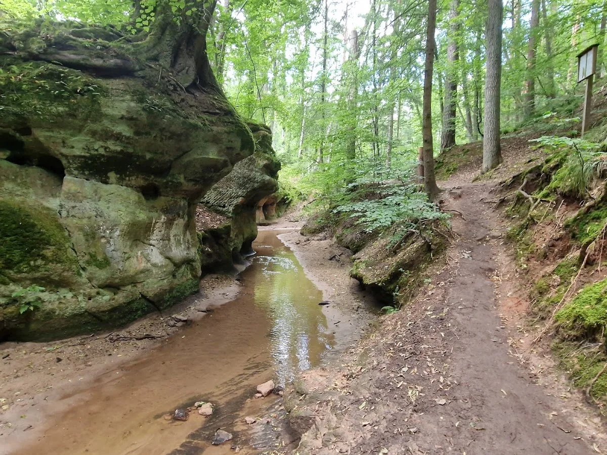 Bitterbachschlucht – Profilfoto in Lauf an der Pegnitz, Bayern