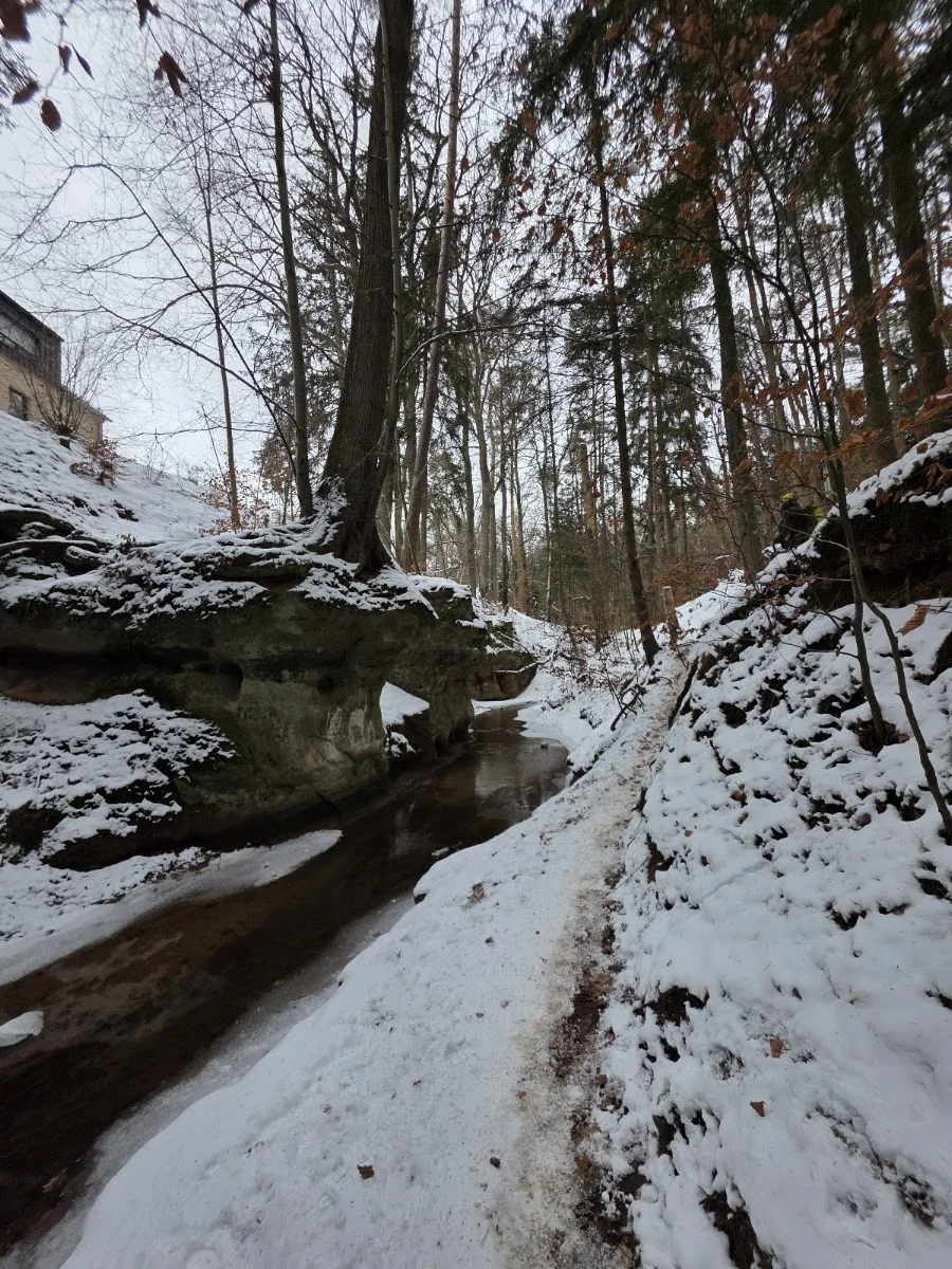 Bitterbachschlucht – Besucherfoto: Daniela Hirschmann in Lauf an der Pegnitz, Bayern