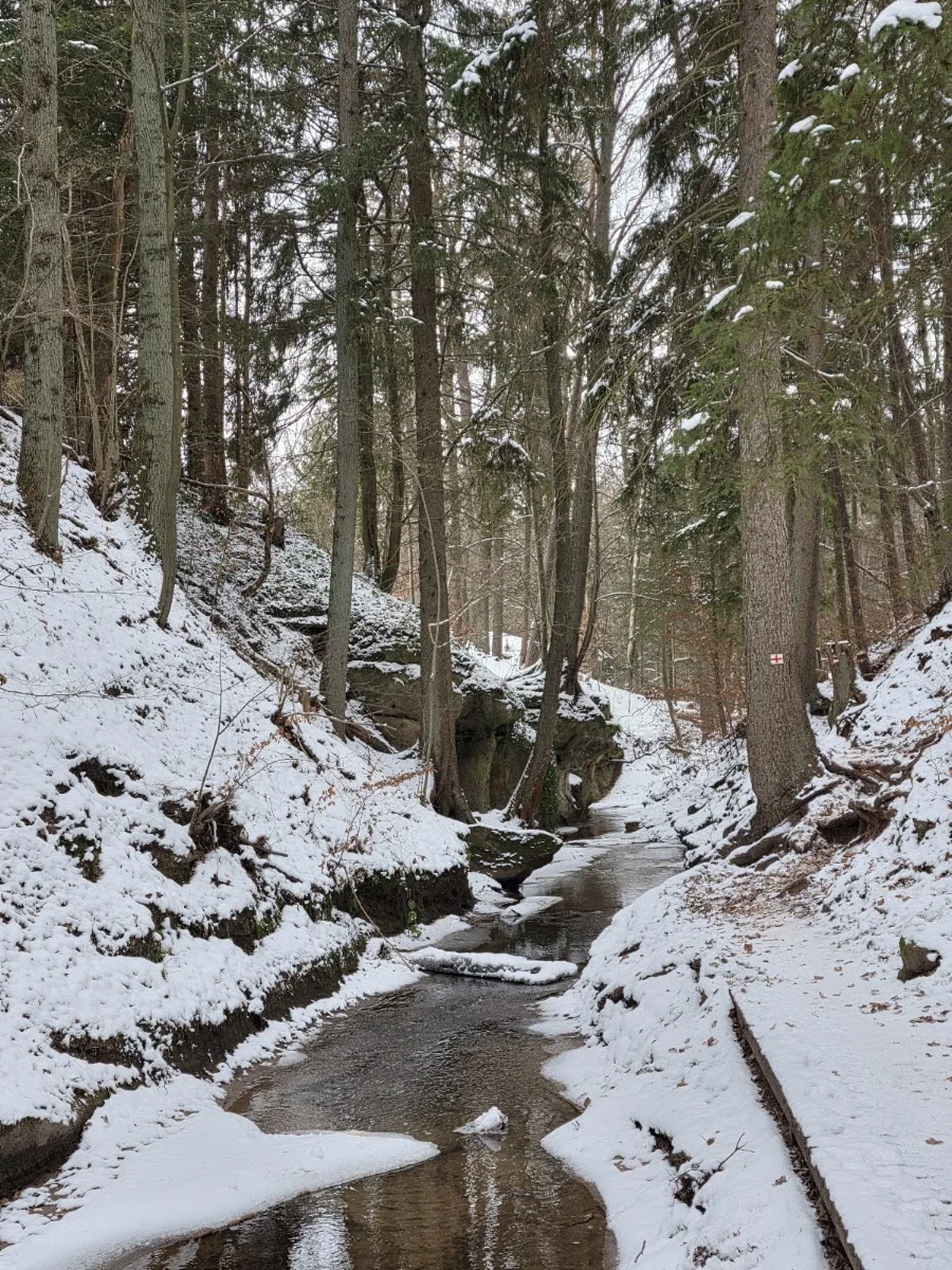 Bitterbachschlucht – Besucherfoto: Daniela Hirschmann in Lauf an der Pegnitz, Bayern