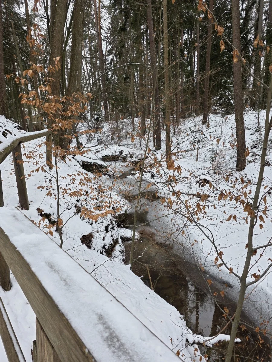 Bitterbachschlucht – Besucherfoto: Daniela Hirschmann in Lauf an der Pegnitz, Bayern