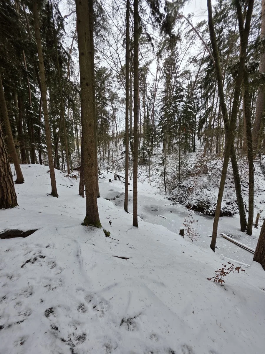 Bitterbachschlucht – Besucherfoto: Daniela Hirschmann in Lauf an der Pegnitz, Bayern