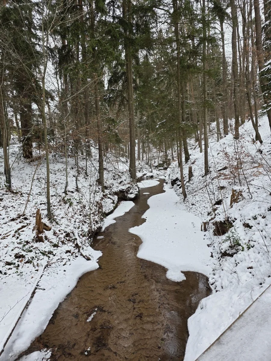 Bitterbachschlucht – Besucherfoto: Daniela Hirschmann in Lauf an der Pegnitz, Bayern