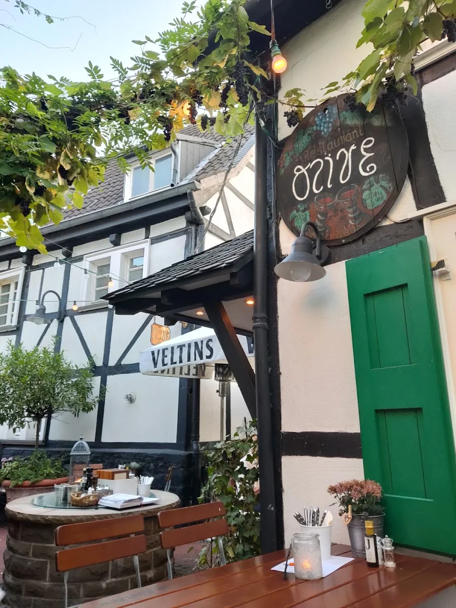 Olive – Profilfoto in Hilden, Nordrhein-Westfalen