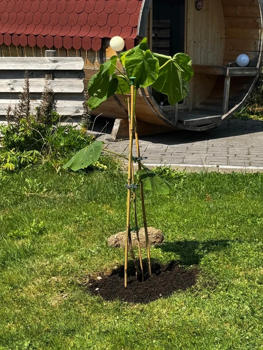 Pflanzenversand Garten Schlüter – Baumschule in Bokholt-Hanredder, Schleswig-Holstein