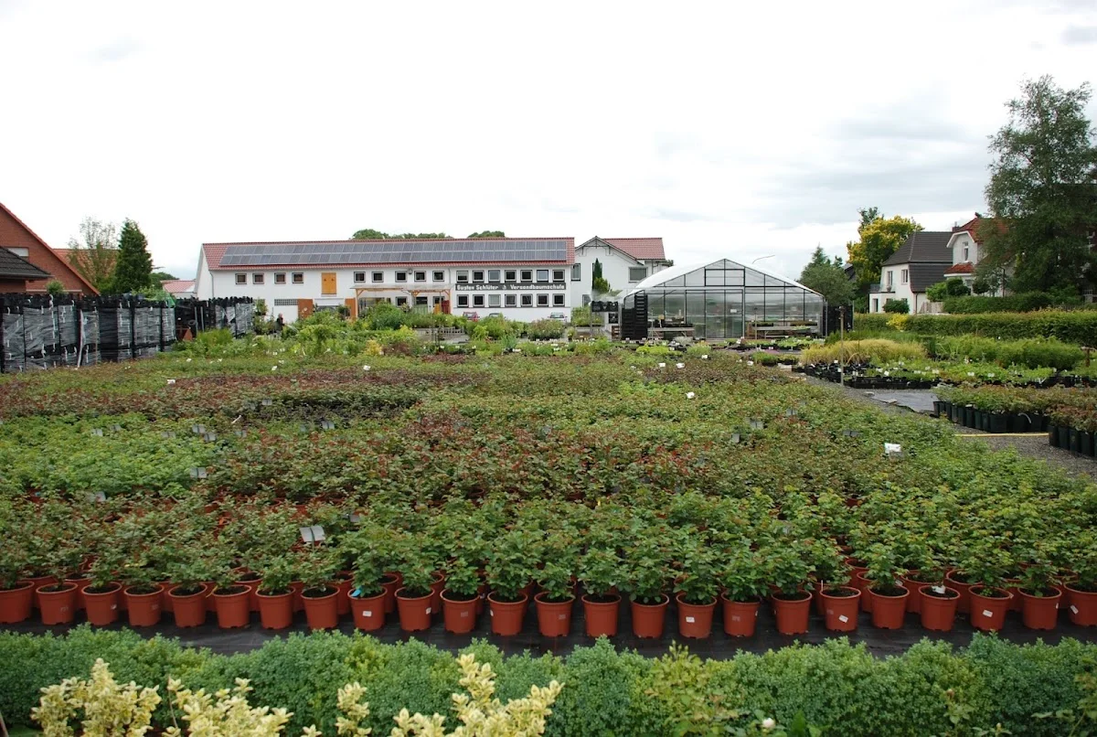 Pflanzenversand Garten Schlüter – Vom Inhaber in Bokholt-Hanredder, Schleswig-Holstein