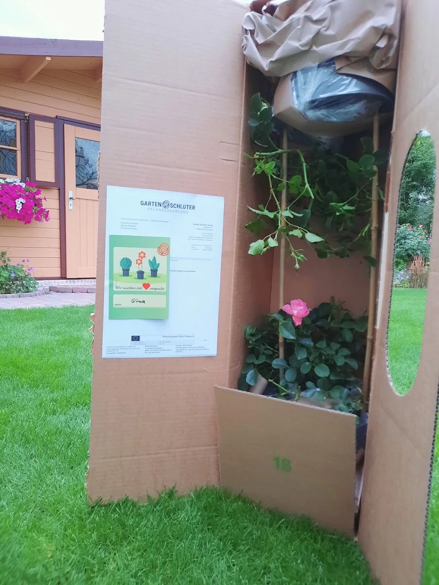Pflanzenversand Garten Schlüter – Profilfoto in Bokholt-Hanredder, Schleswig-Holstein