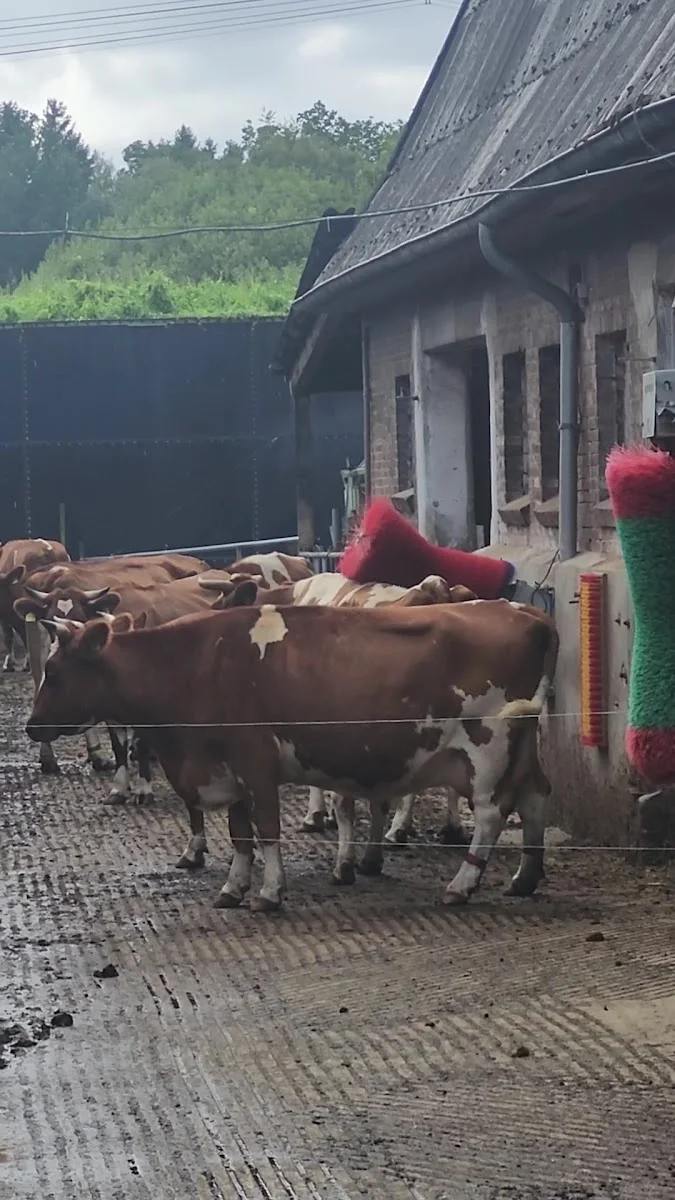 Bio-Hofladen Gut Wulfsdorf – Bioladen in Ahrensburg, Schleswig-Holstein