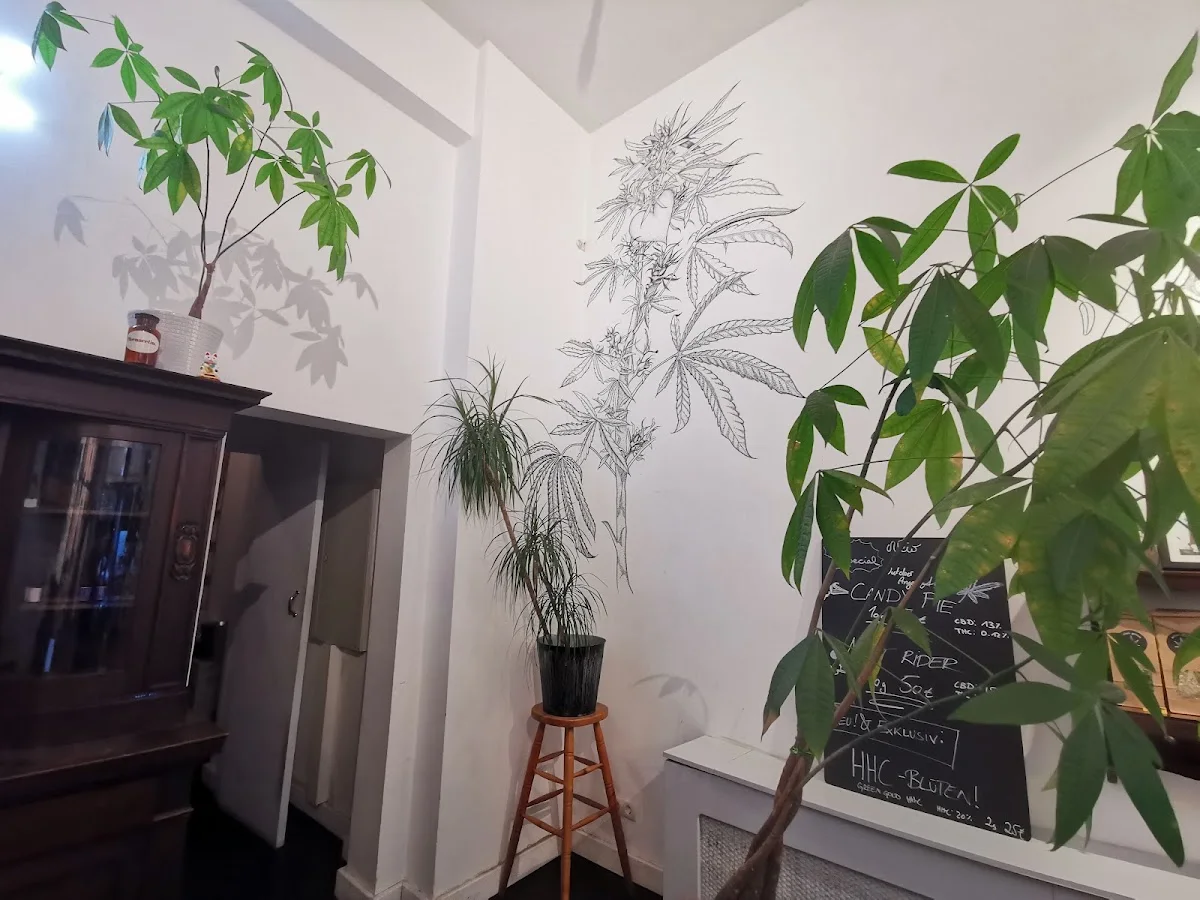 CBD Store Urban Greens – Besucherfoto: Anna Wasilewski in Berlin