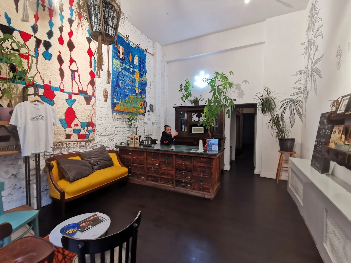 CBD Store Urban Greens – Besucherfoto: Anna Wasilewski in Berlin