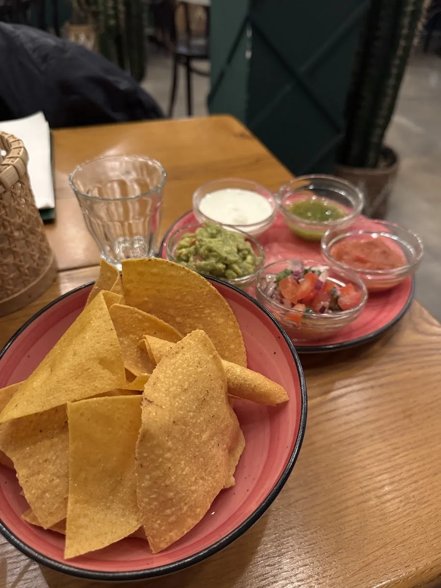 ALEJANDRO’S mexican kitchen & bar – Guacamole in Frankfurt am Main, Hessen