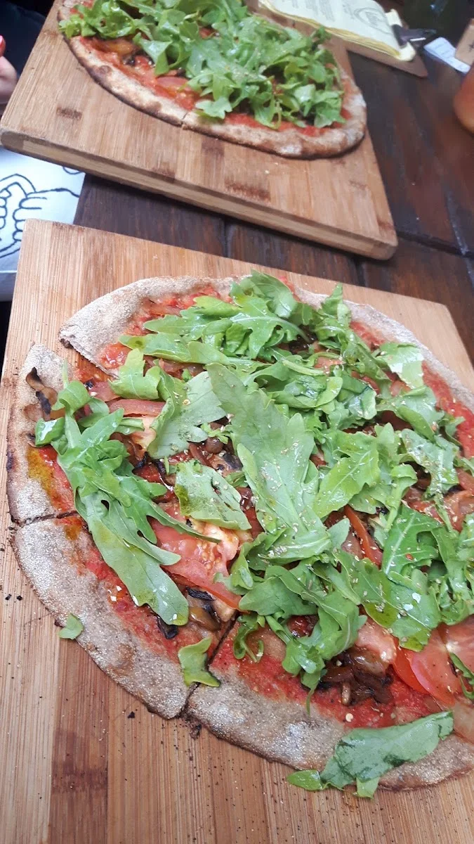 fit kitchen – Senfrauke in Frankfurt am Main, Hessen