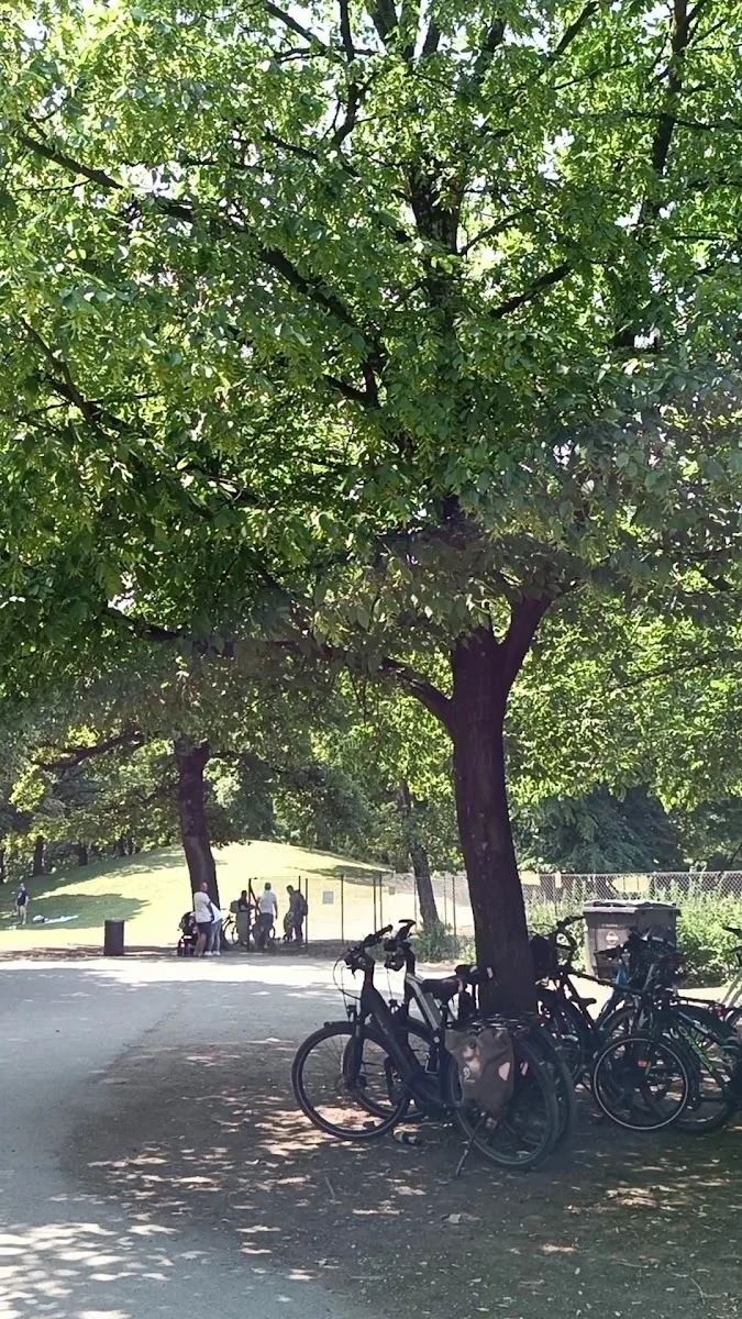 Hirschgarten – Sehenswürdigkeit in München, Bayern