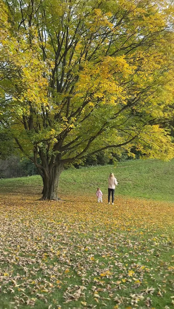 Hirschgarten – Besucherfoto von Jaguraov in München, Bayern