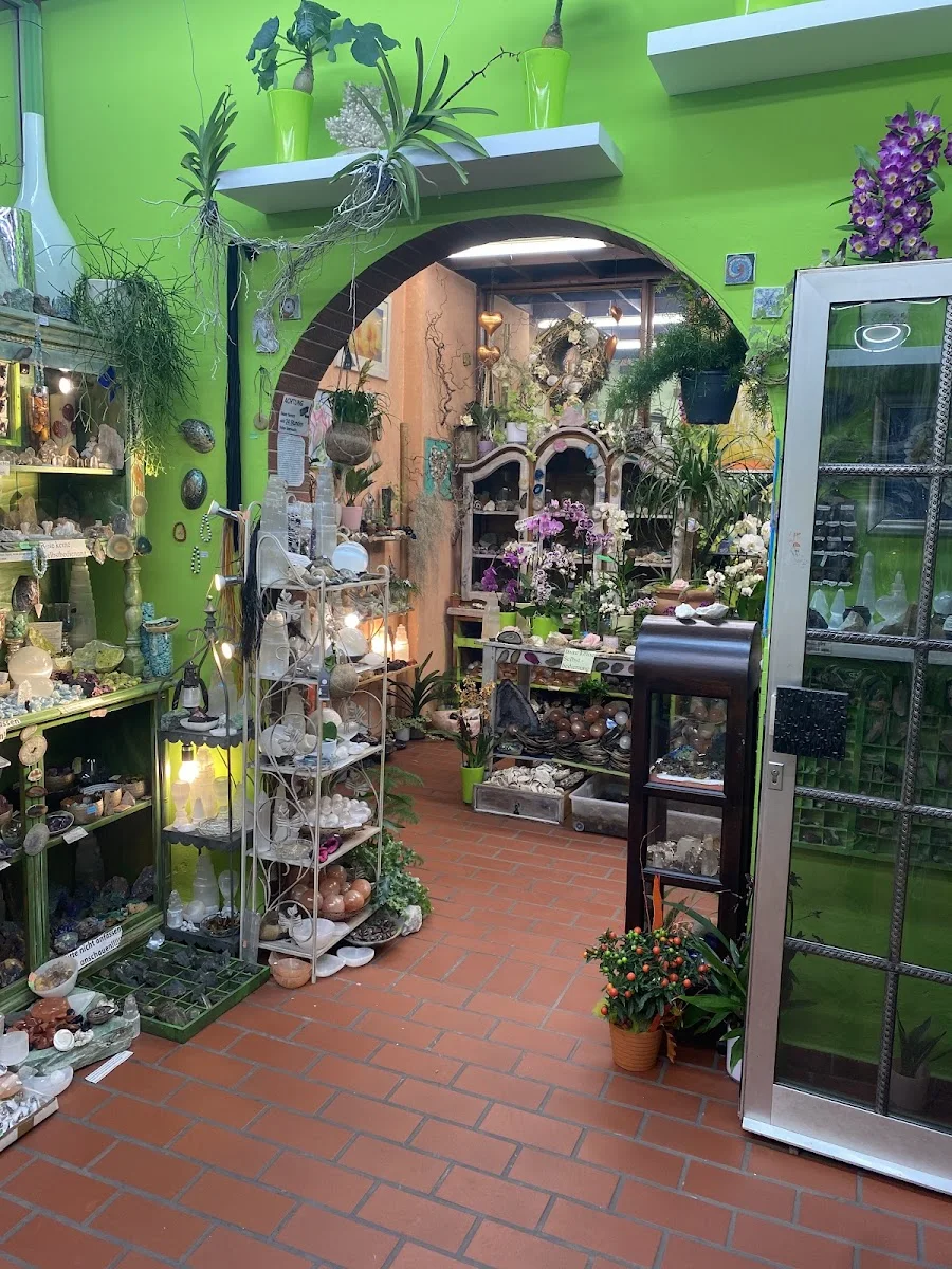 Blumen Fuchs – Profilfoto in Nürnberg, Bayern