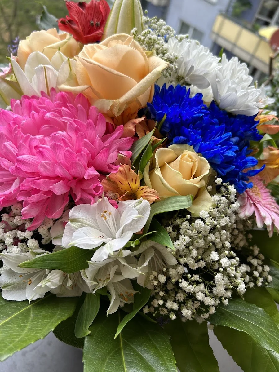 Blumen Fuchs – Besucherfoto: Anna Hoffmann in Nürnberg, Bayern