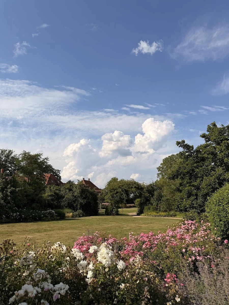 ROSENGARTEN-Tierbestattung Weser-Ems – Einäscherungsdienst in Badbergen, Niedersachsen