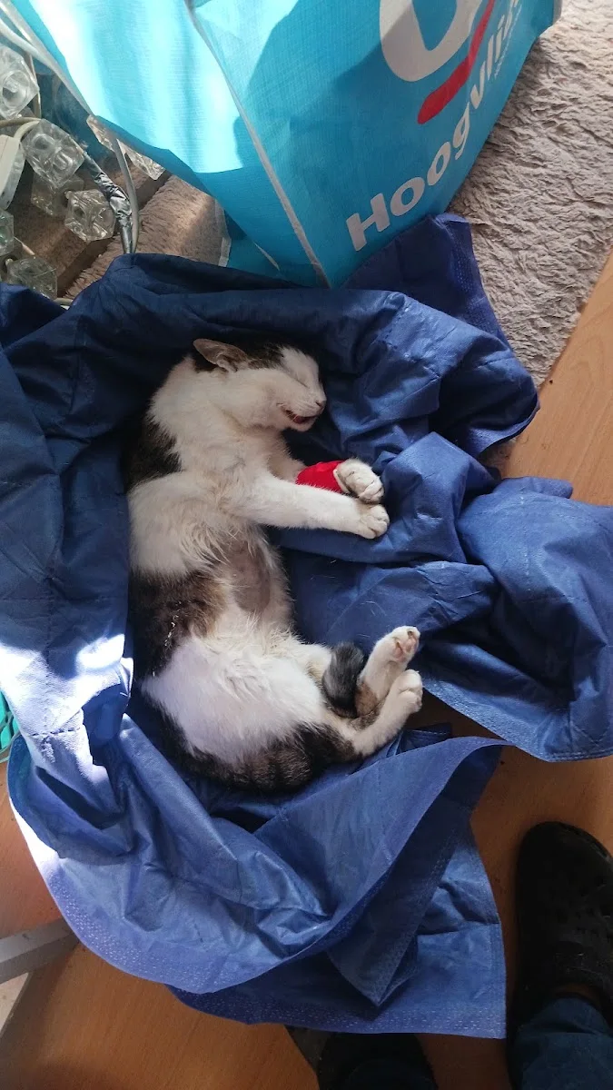 AniCura Recklinghausen - Tierärztliche Klinik für Kleintiere – Tierklinik in Recklinghausen, Nordrhein-Westfalen