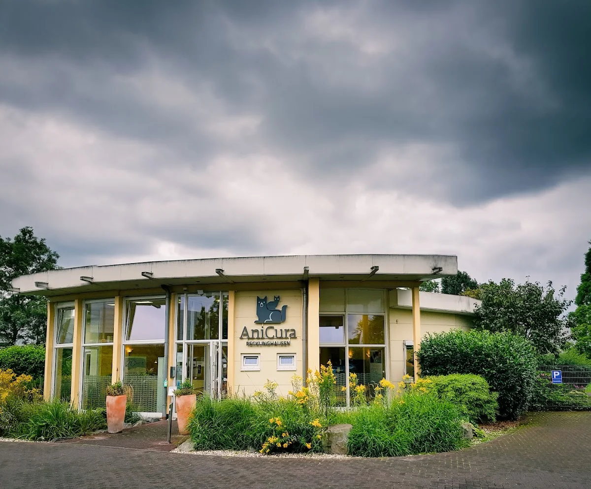 AniCura Recklinghausen - Tierärztliche Klinik für Kleintiere – Profilfoto in Recklinghausen, Nordrhein-Westfalen