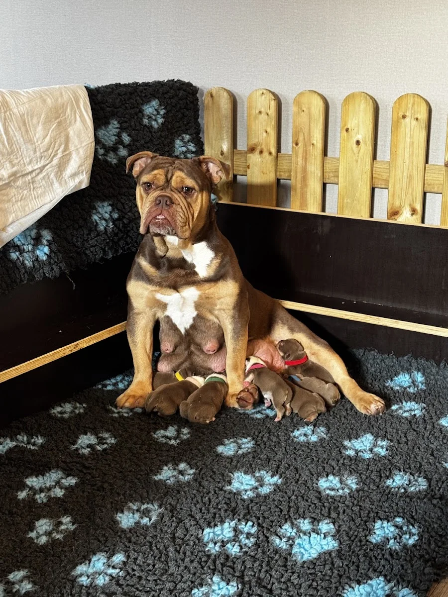AniCura Recklinghausen - Tierärztliche Klinik für Kleintiere – Besucherfoto von Elke Gehring in Recklinghausen, Nordrhein-Westfalen