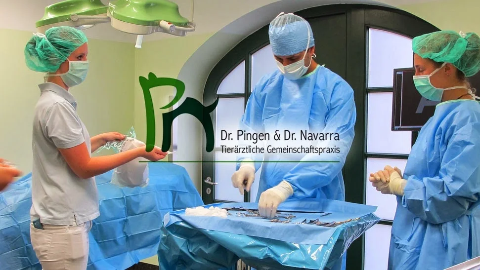 Tierarztpraxis Pingen Navarra – Profilfoto in Pulheim, Nordrhein-Westfalen